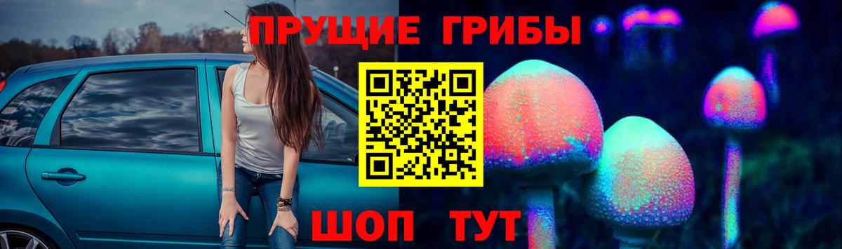 Псилоцибиновые грибы Psilocybine cubensis  Галлюциногенные грибы Psilocybe  Химки  Вход с VPN 